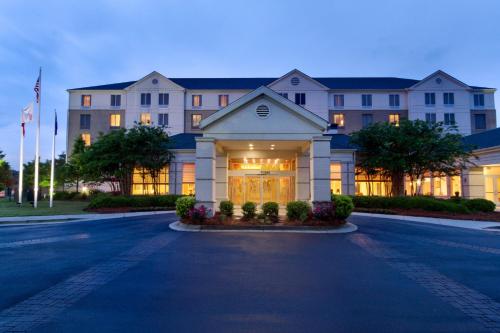 Фотография гостиницы Hilton Garden Inn Atlanta East/Stonecrest