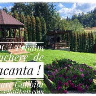 Фотографии гостевого дома
Cazare Colibita Casa Lipan
