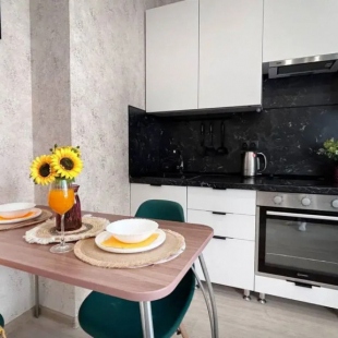 Фотография квартиры Квартира Студия Логика у Космопорта