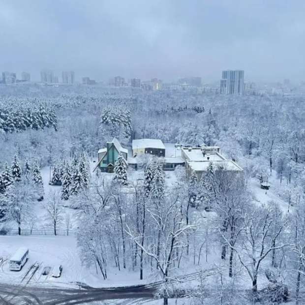 Фотографии квартиры 
            Апартаменты Мать и Дитя