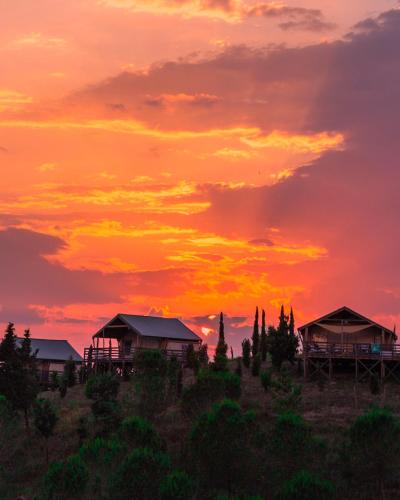 Фотография базы отдыха Glamping Diacceroni