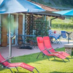 Фотографии базы отдыха
Agriturismo Trefrutti