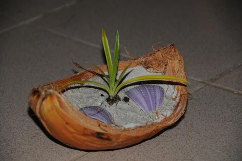 Фотография гостевого дома Dhangethi INN