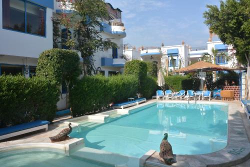 Фотография гостиницы El Gezira Garden Hotel Luxor