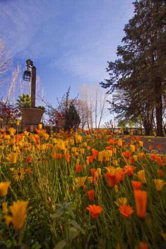 Фотография мини отеля Lujan De Cuyo B&B