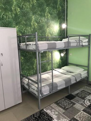 Фотография хостела Green hostel