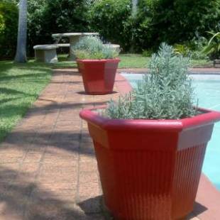 Фотографии мини отеля 
            Christie's Inn