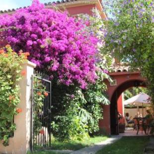 Фотографии хостела
El Arbol Hostel