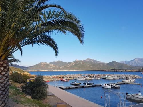 Фотография мини отеля L'auberge Galeria