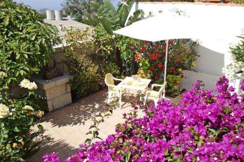 Фотографии гостевого дома
Casa Limona