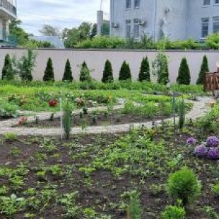 Фотография гостевого дома Элиз