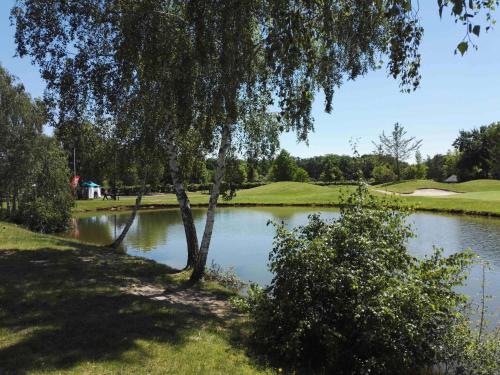 Фотография гостиницы Mercure Orléans Portes de Sologne