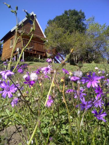 Фотография гостевого дома A Stone's Throw Accommodation
