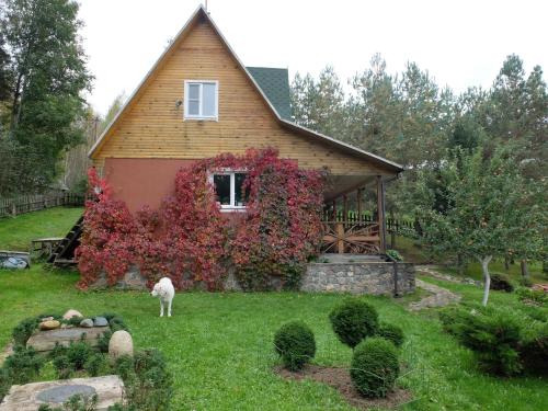 Фотография гостевого дома Усадьба Забелье 4 