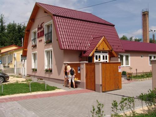 Фотография гостевого дома Kata Panzió