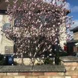 Фотография мини отеля Harry's bed and breakfast