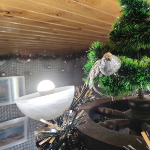 Фотография Коттеджа Частный Дом с 2 Спальнями на Балтийском Море