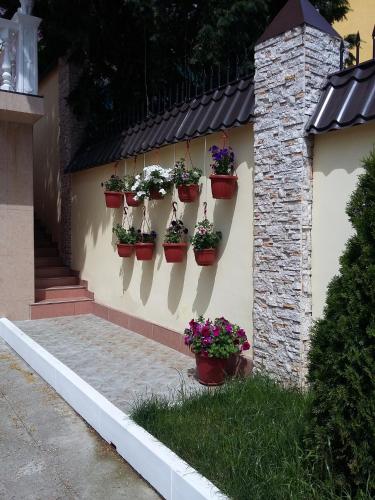 Фотография гостевого дома Прохлада