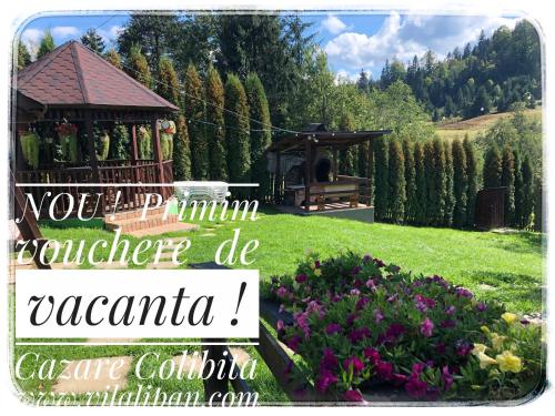 Фотография гостевого дома Cazare Colibita Casa Lipan