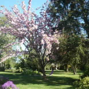 Фотографии гостевого дома
Gite Anne-Marie Davaillon