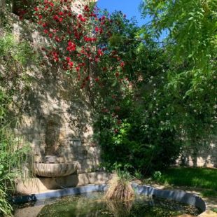 Фотография гостевого дома Turm am Schlosspark Eisenstadt