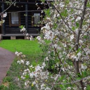 Фотография гостевого дома Suzdal Like Home