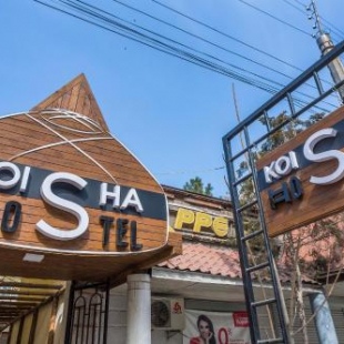 Фотография хостела Koisha