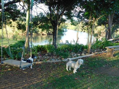 Фотография гостевого дома Riverbend Cottage Cabin at Little Heaven