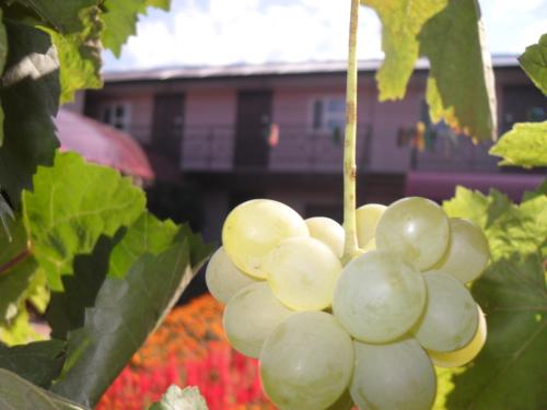 Фотографии мини отеля 
            Тамара