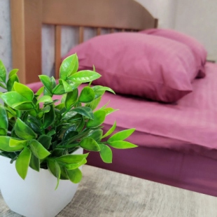 Фотография квартиры Квартира Евро двушка щепкинский лес