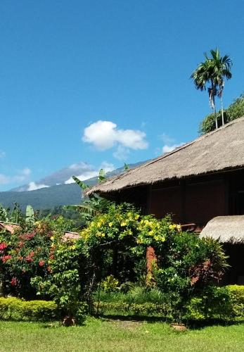 Фотография мини отеля Rinjani Lighthouse