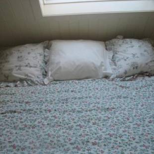 Фотографии мини отеля 
            B&B Greenhouse 37