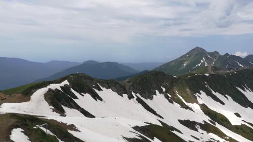 Фотографии гостевого дома 
            FreeDOM