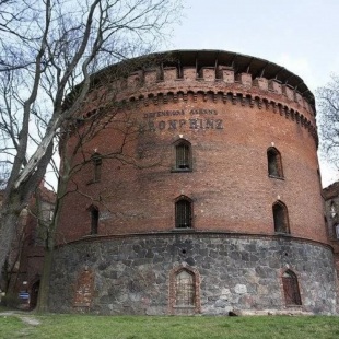 Фотография памятника архитектуры Башня Кронпринца