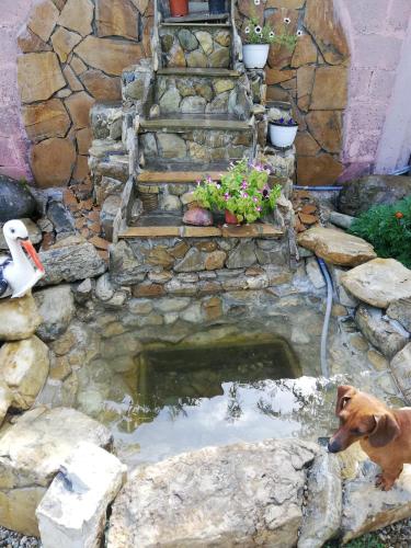 Фотографии гостевого дома
АкваМария