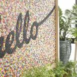 Фотография хостела Dream Lodge