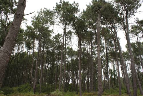 Фотографии гостиницы
Iberia