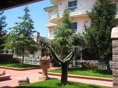 Фотография гостиницы Drini Hotel