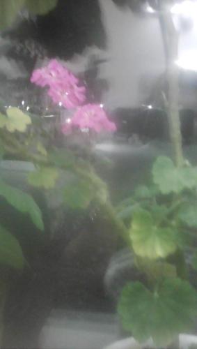 Фотография гостевого дома Северный Рай