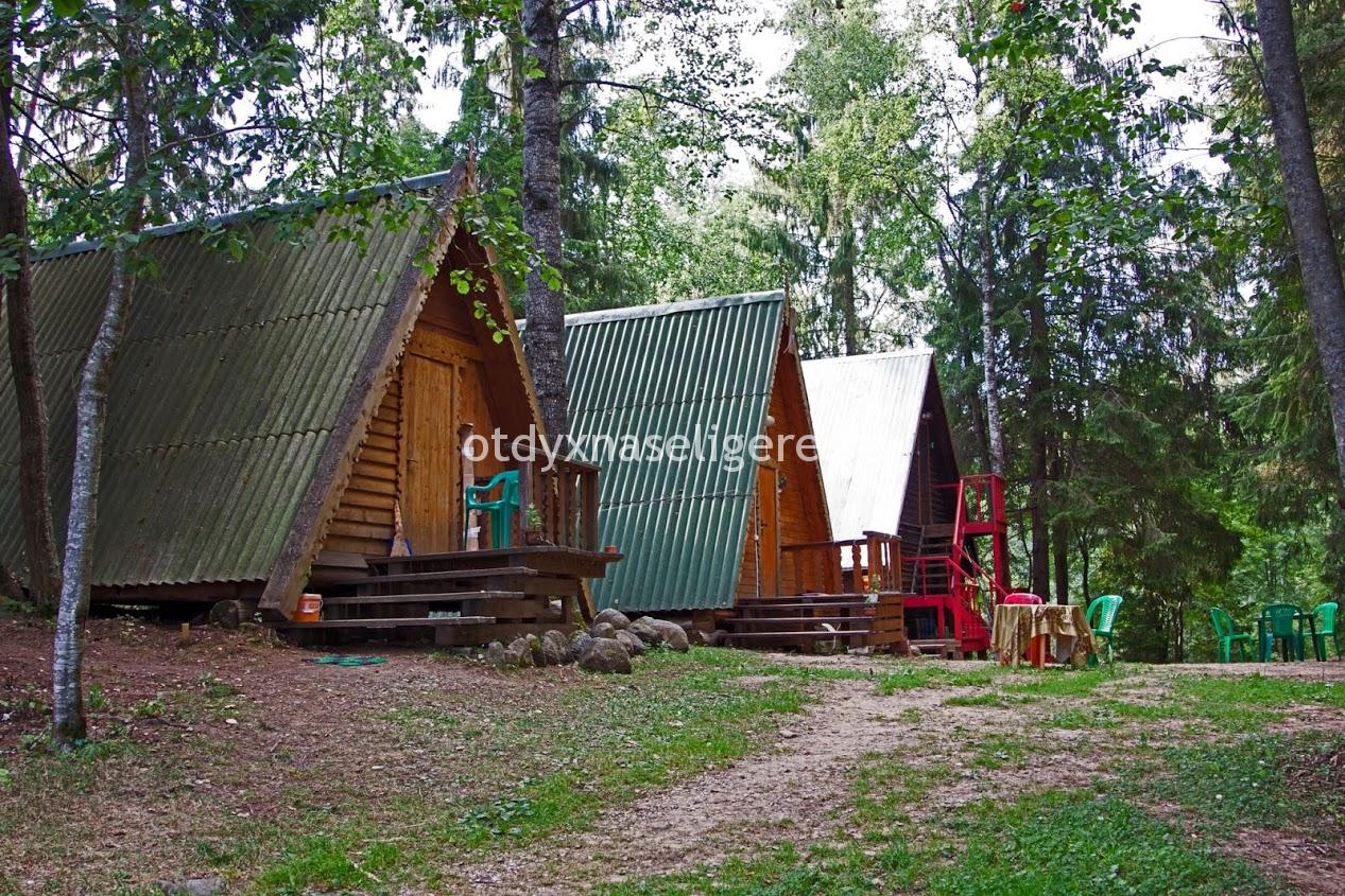 Фотография базы отдыха Медвежий угол