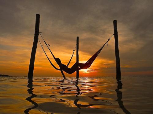 Фотография гостиницы Hotel Villas Flamingos