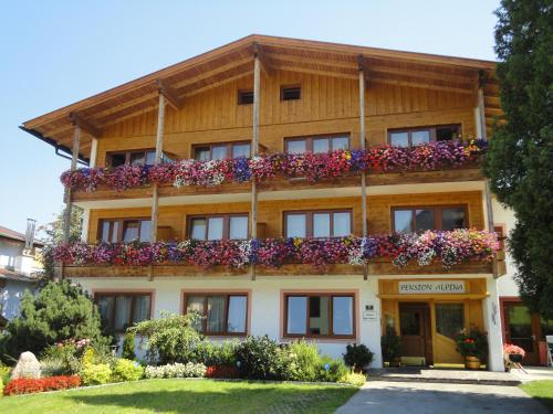 Фотография гостевого дома Pension Alpina
