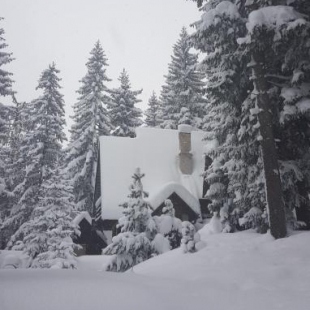 Фотография гостевого дома Vikendica PAM