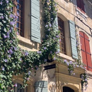 Фотография мини отеля Le Patio d'Arles