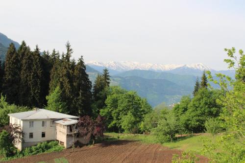 Фотографии мини отеля 
            Tvaliakari