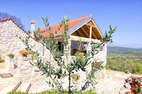 Фотография гостевого дома House Radojka