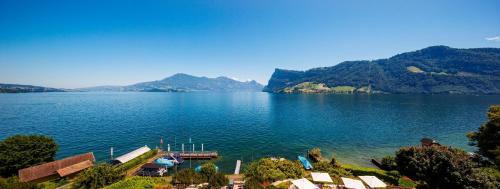 Фотографии гостиницы
Seehotel Kastanienbaum