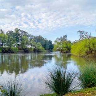 Фотографии кемпинга
BIG4 Wagga Wagga Holiday Park