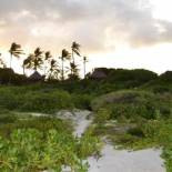 Фотография мини отеля Watamu Beach Cottages B&B