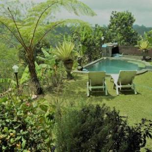 Фотографии гостевого дома 
            Shangrilah Villas